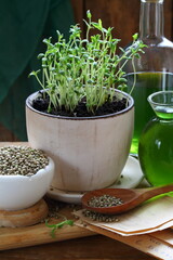 Hemp oil in a bottle on a wooden table