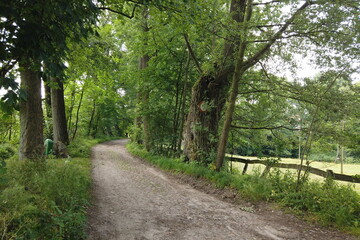 Weg zum Gutshof