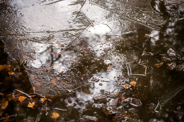 split ice on a lake with fallen yellow birch leaves in late autumn