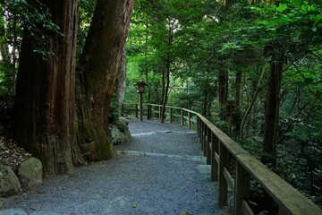 Obraz premium Pilgrimage Path to Ise Jingu Shrine in Mie, Japan - 日本 三重 伊勢神宮 別宮 参道