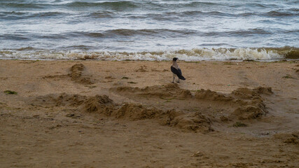 person walking on the beach