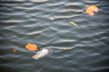 plastic bag floating in the water. Environmental contamination