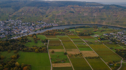Jesienny krajobraz winnic mad Mozelą w Niemczech. © slawjanek