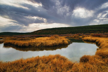 Fall colors at Yellowstone National Park, Idaho, Wyoming, Bison, Geysers, Mountains, Grand Tetons