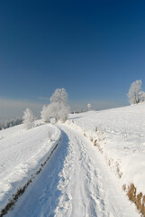 Fototapeta na wymiar A straight road is covered with snow, Gorce, Poland