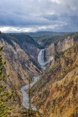 Fall colors at Yellowstone National Park, Idaho, Wyoming, Bison, Geysers, Mountains, Grand Tetons