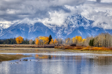 Fall colors at Yellowstone National Park, Idaho, Wyoming, Bison, Geysers, Mountains, Grand Tetons © Taha
