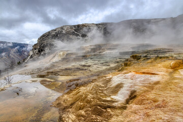 Fall colors at Yellowstone National Park, Idaho, Wyoming, Bison, Geysers, Mountains, Grand Tetons