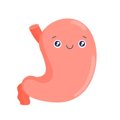 Stomach. Cartoon internal organs. Cute gastrointestinal tract. Healthy happy stomach. Stock vector illustration isolated on white background.
