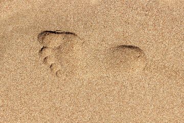Fototapeta na wymiar footprint in the sand on the beach background texture