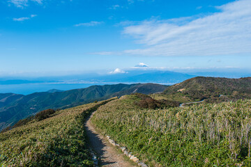 Naklejka na ściany i meble 伊豆半島西伊豆スカイライン（伊豆山稜線歩道、達磨山周辺）から見える富士山