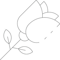 celebration icon               flower and nature