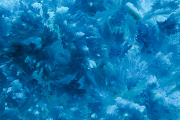 Fototapeta na wymiar sharp crystals blue chemical macro