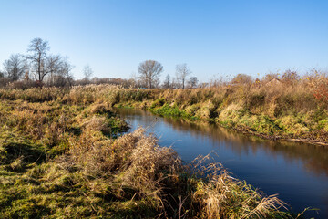 Brzozówka – rzeka, lewostronny dopływ Biebrzy, Podlasie, Polska 