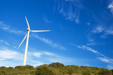 Fototapeta premium Green energy concept view