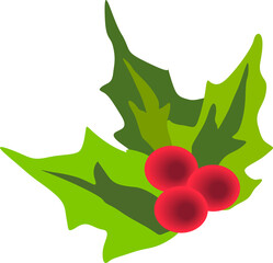 winter flower, red berries with leaves,vector drawing,isolate on a white background