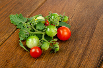 Branch of cherry tomatoes with red and green fruits on wooden background. Studio Photo