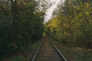 Fototapeta premium old iron rails in a colorful and mystical forest. Long railway colorful background. Nature landscape background. Panoramic landscape. Fantasy forest. Autumn forest background. Forest trees.