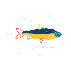 fish animal cartoon vector illustration