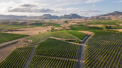 Poster Im Rahmen aerial view of la rioja vineyard, Spain © jon_chica