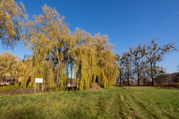 Obraz premium Kanał Augustowski - Śluza Białobrzegi, Podlasie, Polska