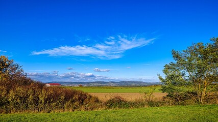 Meadow on the edge of the forest with a view of a lake
Wiese am Rand drein Walters mit Blick auf einen See