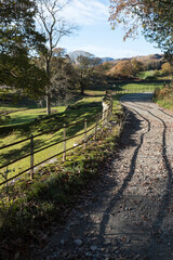 Fototapeta premium dirt track through the english countryside