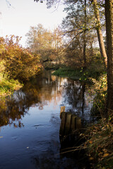 jesień © kolorowekadry