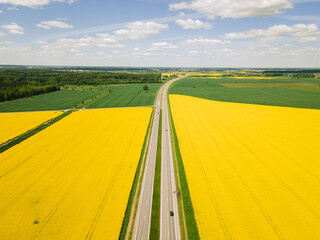 Aerial view of the rapeseed yellow field with highway road.