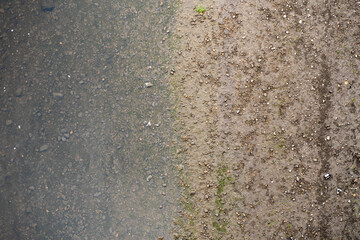 Top down view on a river and a river bank. Wet dirt and small stones are visible. The water is clear and stones underwater create a natural background. Small green plants are on the ground.