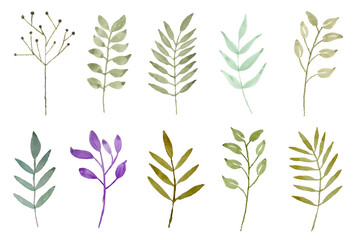 Hand-drawn leaves with watercolor