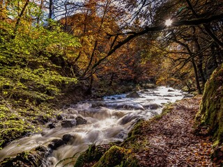 waterfall in autumn in Ness Glen