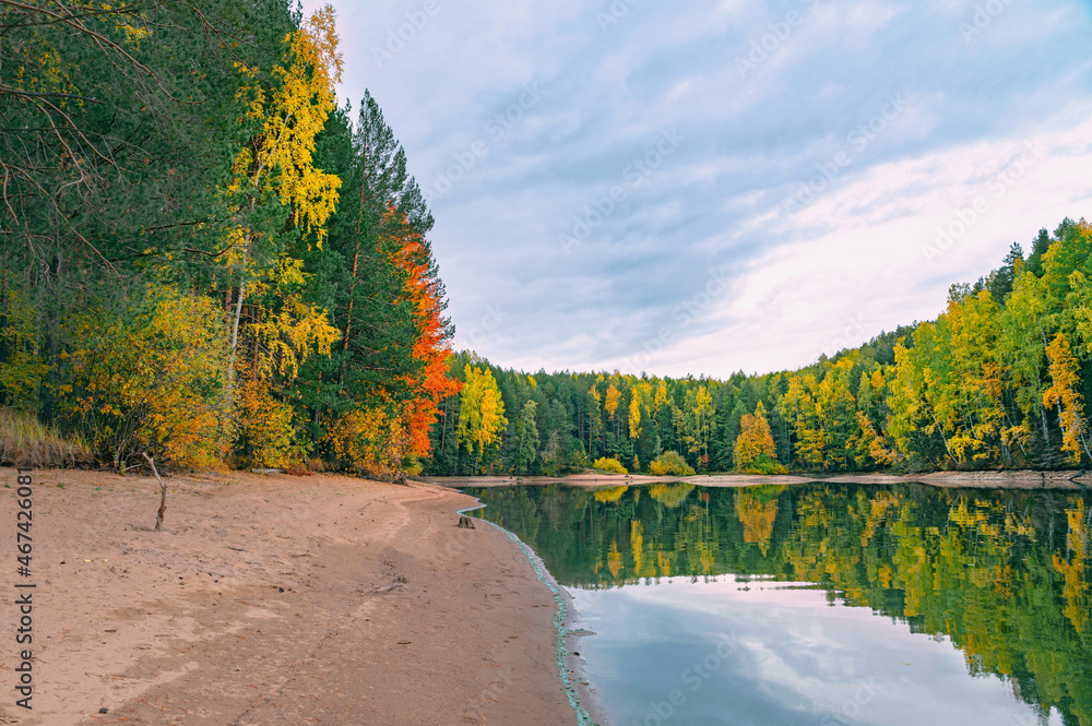 Wall mural panoramic view of the bright colorful trees along the bank of the kama river russia perm krai. autum