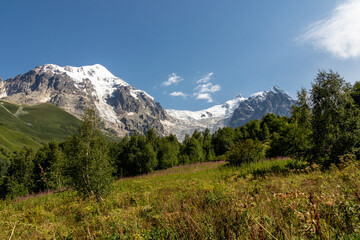 Obraz premium Bushes of Rosebay Willowherb blooming in the Greater Caucasus Mountain Range in Georgia, Svaneti Region. There are high,snowcapped peaks in the back.Purple flowers in the wilderness.Idyllic landscape.