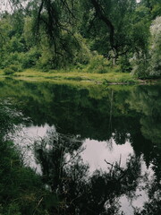 Looking for happyness
