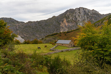 Autumn landscape in the Somiedo natural park in Asturias. 