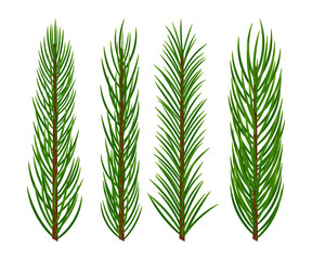 Set of vector pine branches isolated on white background
