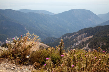 Heaven in the Mount Ida in autumn, Turkey