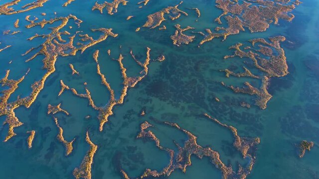 Aerial view of the marsh landscape at low tide in the Natural Park of the Marismas de Santo&ntilde;a, Victoria and Joyel in Escalante. Cantabria, Spain, Europe