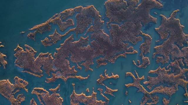 Aerial view of the marsh landscape at low tide in the Natural Park of the Marismas de Santo&ntilde;a, Victoria and Joyel in Escalante. Cantabria, Spain, Europe