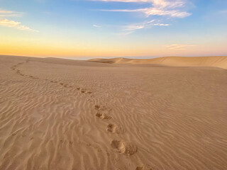 footprints in the sand in the desert going into the distance. High quality photo