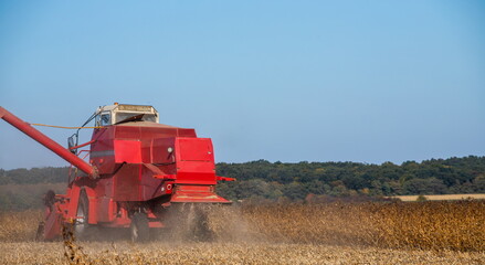 Obraz premium Red combine harvesting a crop of soybeans