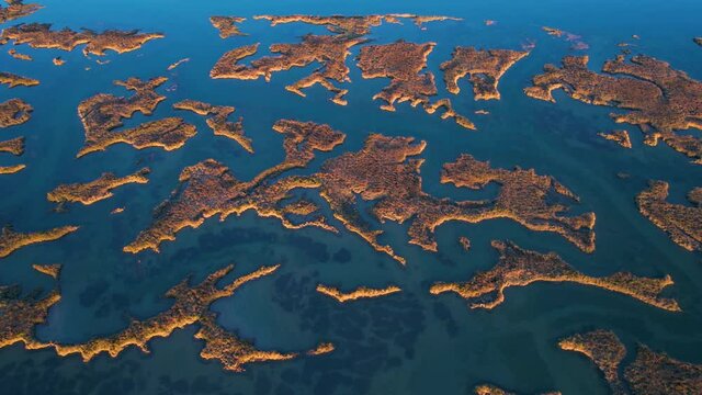 Aerial view of the marsh landscape at low tide in the Natural Park of the Marismas de Santo&ntilde;a, Victoria and Joyel in Escalante. Cantabria, Spain, Europe