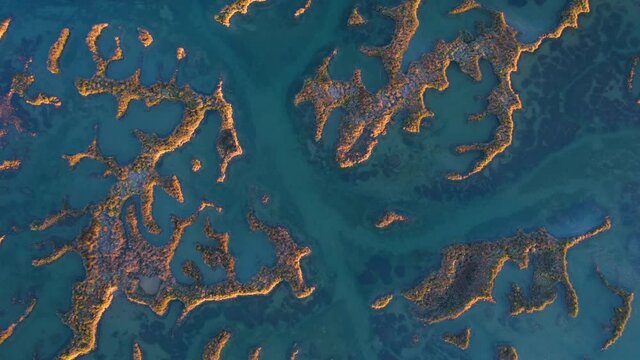 Aerial view of the marsh landscape at low tide in the Natural Park of the Marismas de Santo&ntilde;a, Victoria and Joyel in Escalante. Cantabria, Spain, Europe