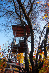 Hunting tower on a tree on a beautiful autumn day