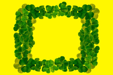 green clover leaves isolated on yellow  background. St.Patrick 's Day