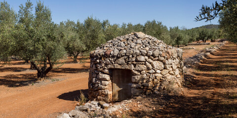 Fototapeta premium 4017