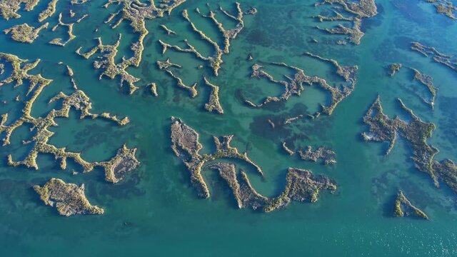 Aerial view of the marsh landscape at low tide in the Natural Park of the Marismas de Santo&ntilde;a, Victoria and Joyel in Escalante. Cantabria, Spain, Europe