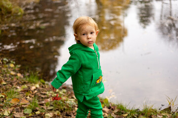 little child walking in autumn park