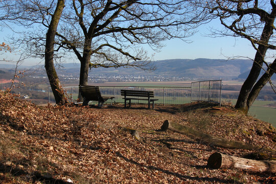 Empty benches and railing in the winter forest at Ehranger Kanzel viewpoint above Mosel river valley and Schweich village near Trier, Germany